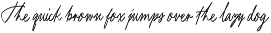 Young Bentley's Stylish Script font preview