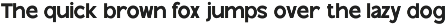 TRT Naron – Semi-Grotesque Sans Font preview