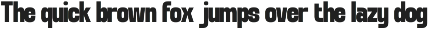 GC Chroma — Condensed Sans Family preview