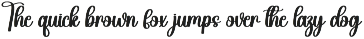 Beach Summer | Script Font preview