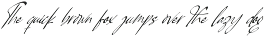 Pamric Mevira Handwritten Ink Font preview