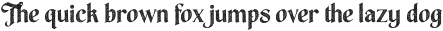 Varnyx Regular otf (400) Sample