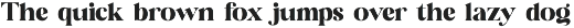 Cringe Elegant Serif Font preview
