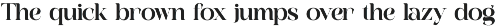 Bagila Elegant Serif Font preview