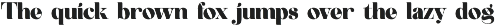 Milgan Elegant Serif Font preview