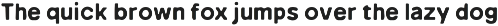Barconat Rough Sans Serif preview