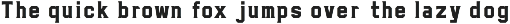 Monkrush - Display Serif Mono preview