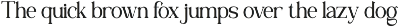 Ravella - Family Serif Font preview