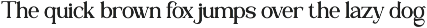 Ravella - Family Serif Font preview