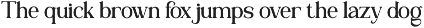 Ravella - Family Serif Font preview