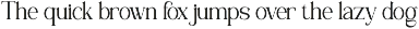 Ravella - Family Serif Font preview