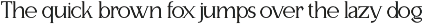 Eternal Bloom - Modern Serif Font preview