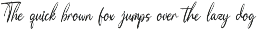 Moonlit Muse Handwritten Script Font preview