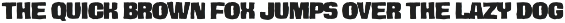 Hover Ridley Retro Font Duo preview