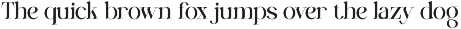 Ginka Voraxe – Modern Stylish Serif preview