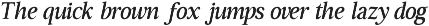 GC Driver Company - Serif Italic preview