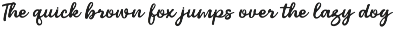 Armor - Elegant Script Font preview