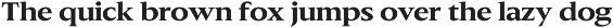 Slingera - Display Serif preview