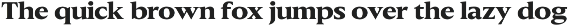 Slingera - Display Serif preview