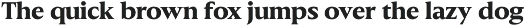 Slingera - Display Serif preview
