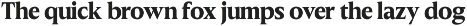 Slingera - Display Serif preview