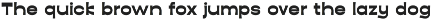 Kaligra Tropicana Sans preview