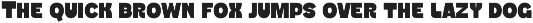 Flanky - Sans Bold Typeface preview
