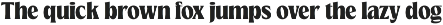 TNSC Means - Heavy Serif preview