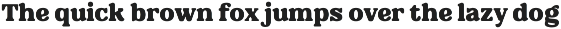 Nolkair - Bold Swashes Retro Serif preview