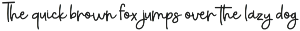Everything Handwritten Font preview