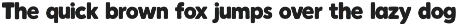 Chonk - Bold Display Font preview
