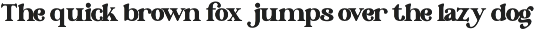 Modesto - Retro Modern Stylish Serif preview
