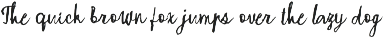Raw Soul Expressive Messy Script font preview