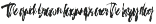 Ensticha - Dry Brush Script preview