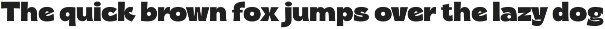 Riget Sans preview