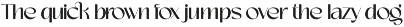Garnetta - Stylish Sans Serif preview