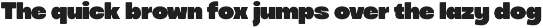 Pottred Bold Display Font preview