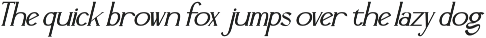 Altovix - Serif Typeface Font preview