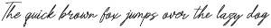 Barrow Waylow | Handwritten Script preview