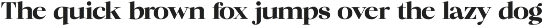 Chilton - Family Serif preview