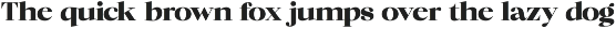 Chilton - Family Serif preview