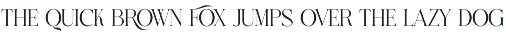 Mefons Elegant Serif Font preview