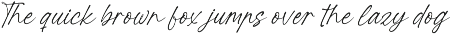 Ratinel Boldies Handwritten Ink Font preview
