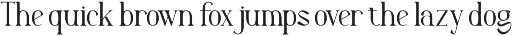 Arkalune - Serif Typeface Font preview