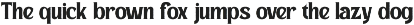 Rustic Vintage - Branding Logo Font preview