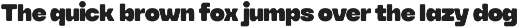 YNF Toyka | Display sans serif preview