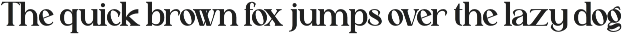 Astafine - Serif Typeface Family preview