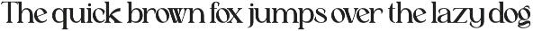 Astafine - Serif Typeface Family preview