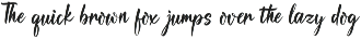 Fouragoh | Handwritten Script preview