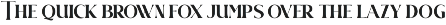 Renigma preview